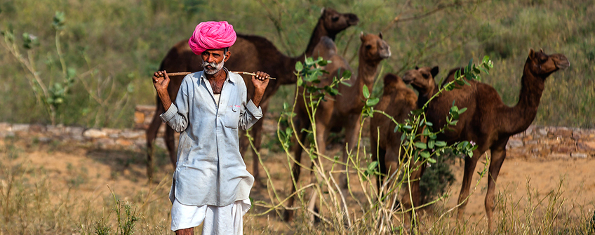 ajmer pushkar