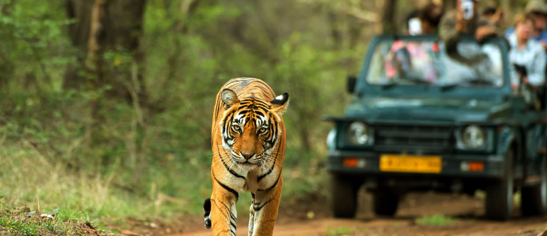 Ranthambore National Park