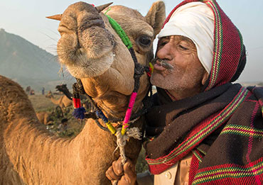 Ajmer Pushkar